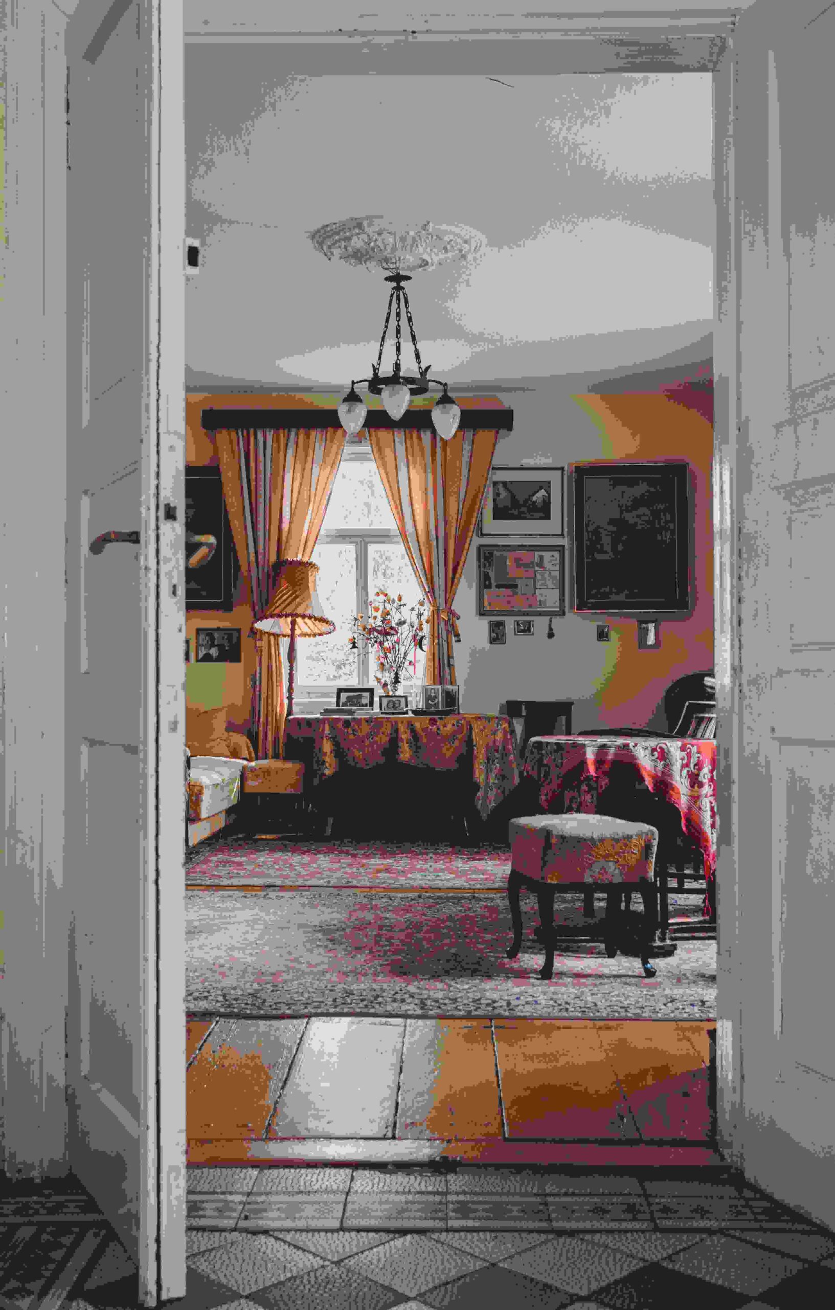 rug visualizer online free